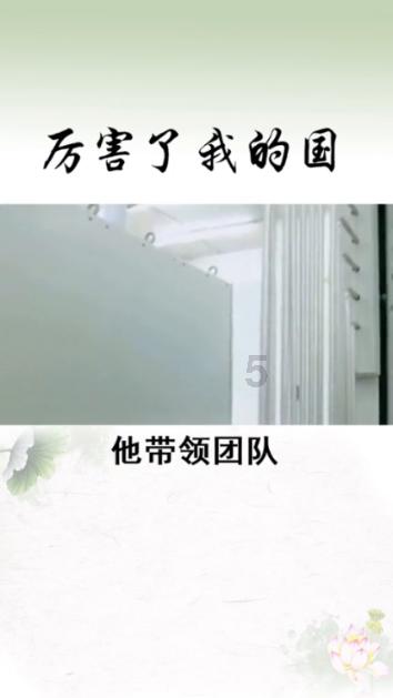 虫虫助手下载